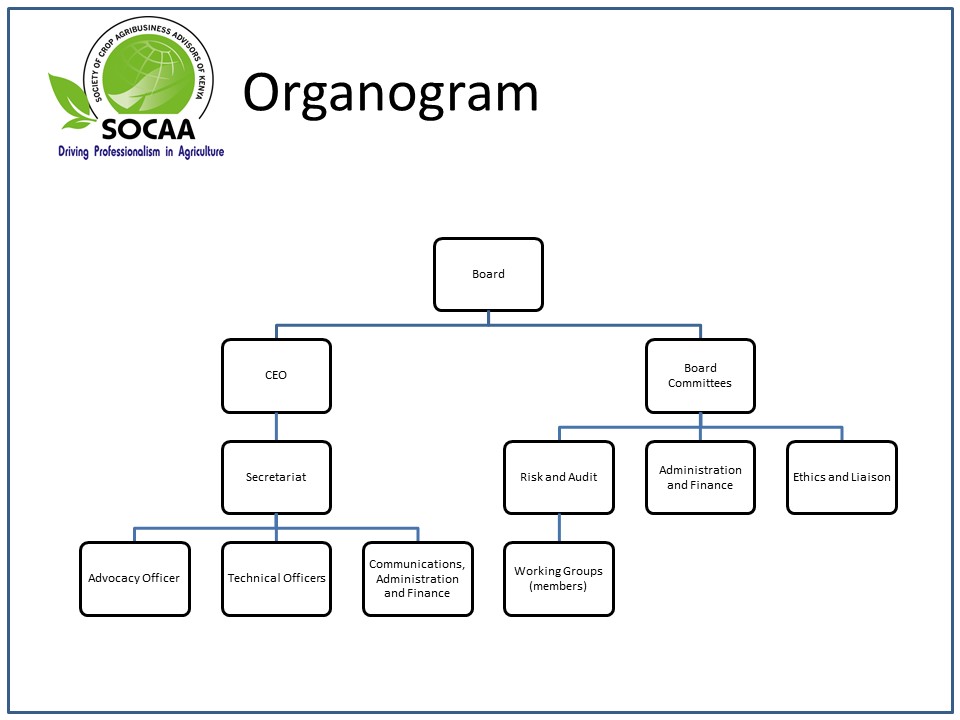 SOCAA Organogram with Board