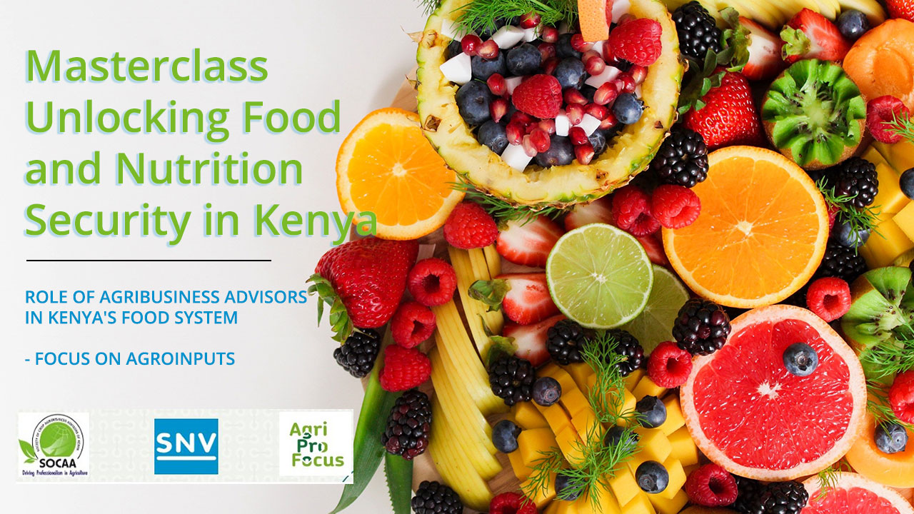 Role of Agribusiness Advisors in Kenya’s Food System – Focus on Agroinputs