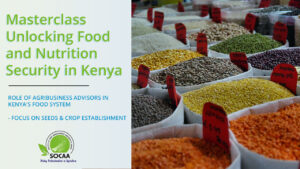 Role of Agribusiness Advisors in Kenyas Food System - Focus on Seeds & Crop Establishment