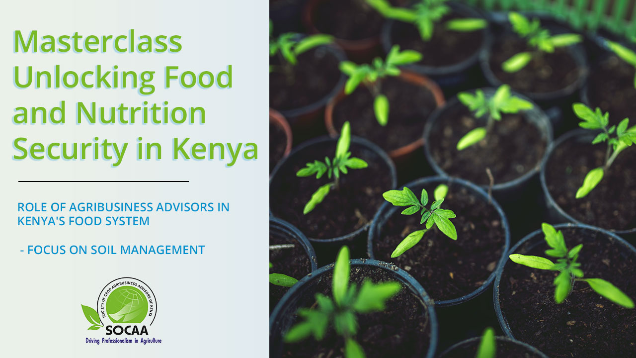 Role of Agribusiness Advisors in Kenya’s Food System – Focus on Soil Management