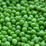 Role of Agribusiness Advisors in Food Safety - Exploring Food Safety and Standards - Bean Peas & Avocado