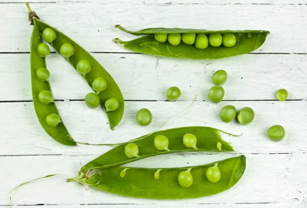 Optimizing Productivity and Market Access for Peas in Pod